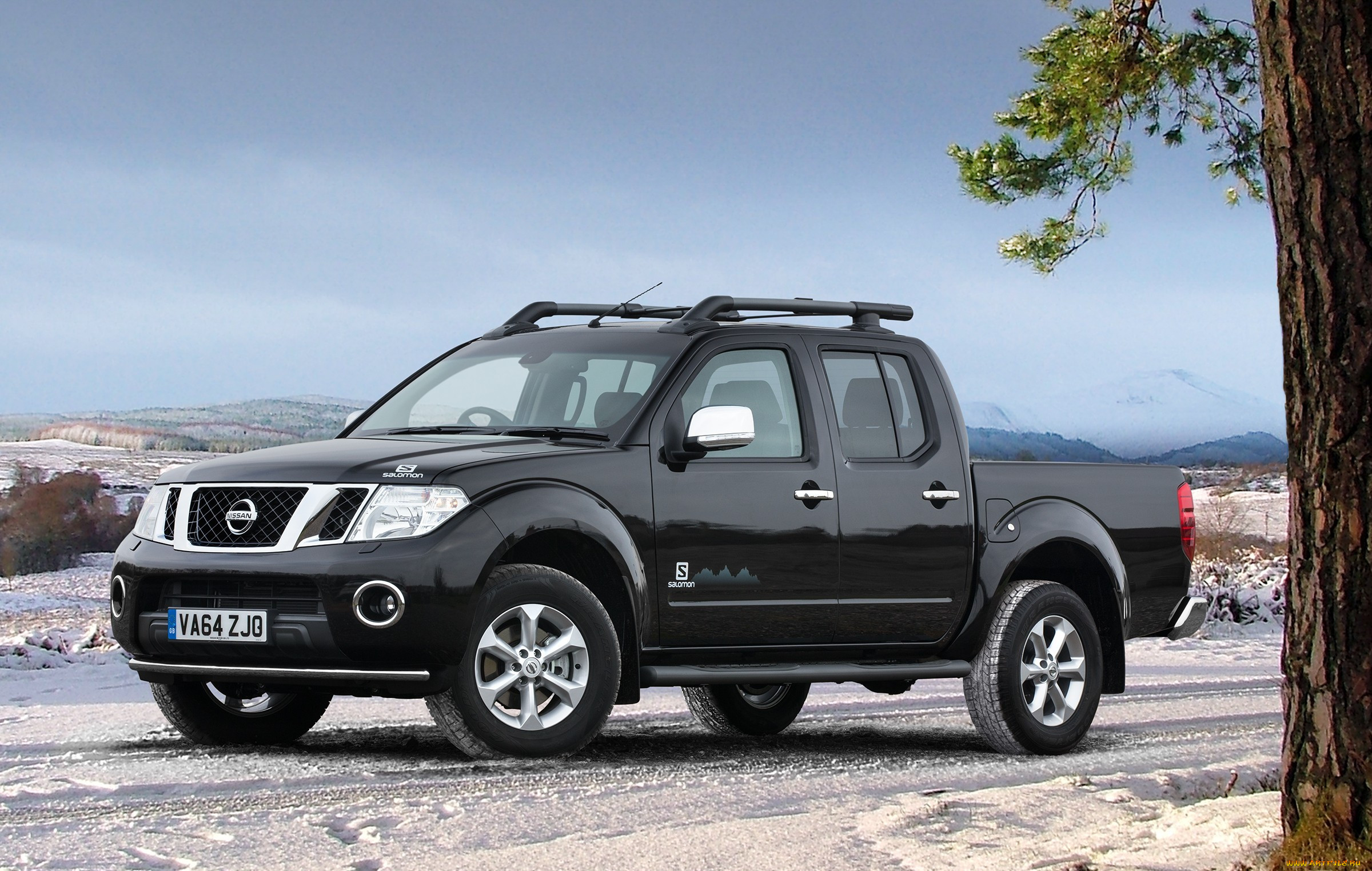 , nissan, datsun, , d40, 2015, salomon, navara